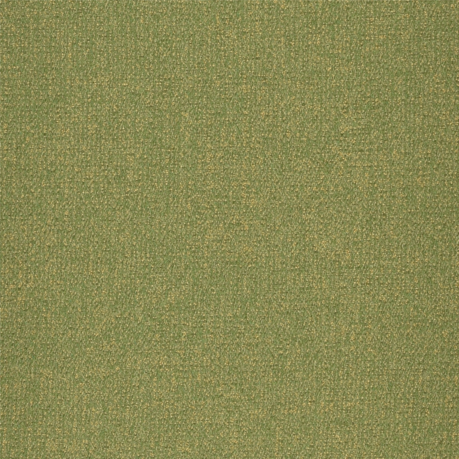 1807-19-绿色