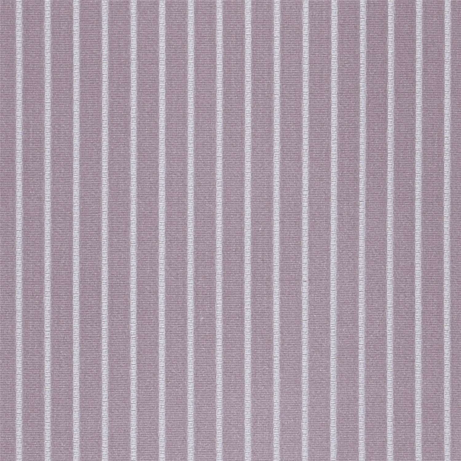 1819-8-紫色