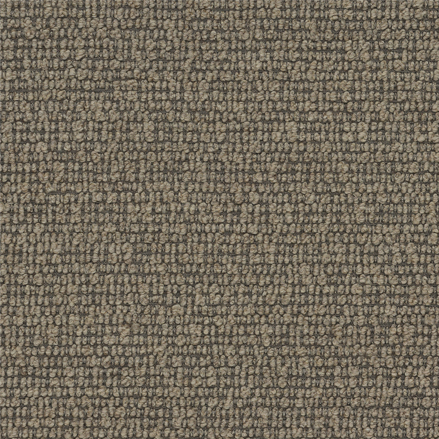 2129-4