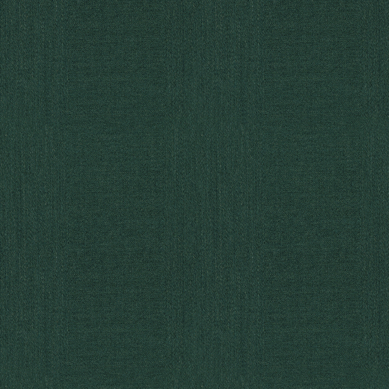 2317-9-绿色