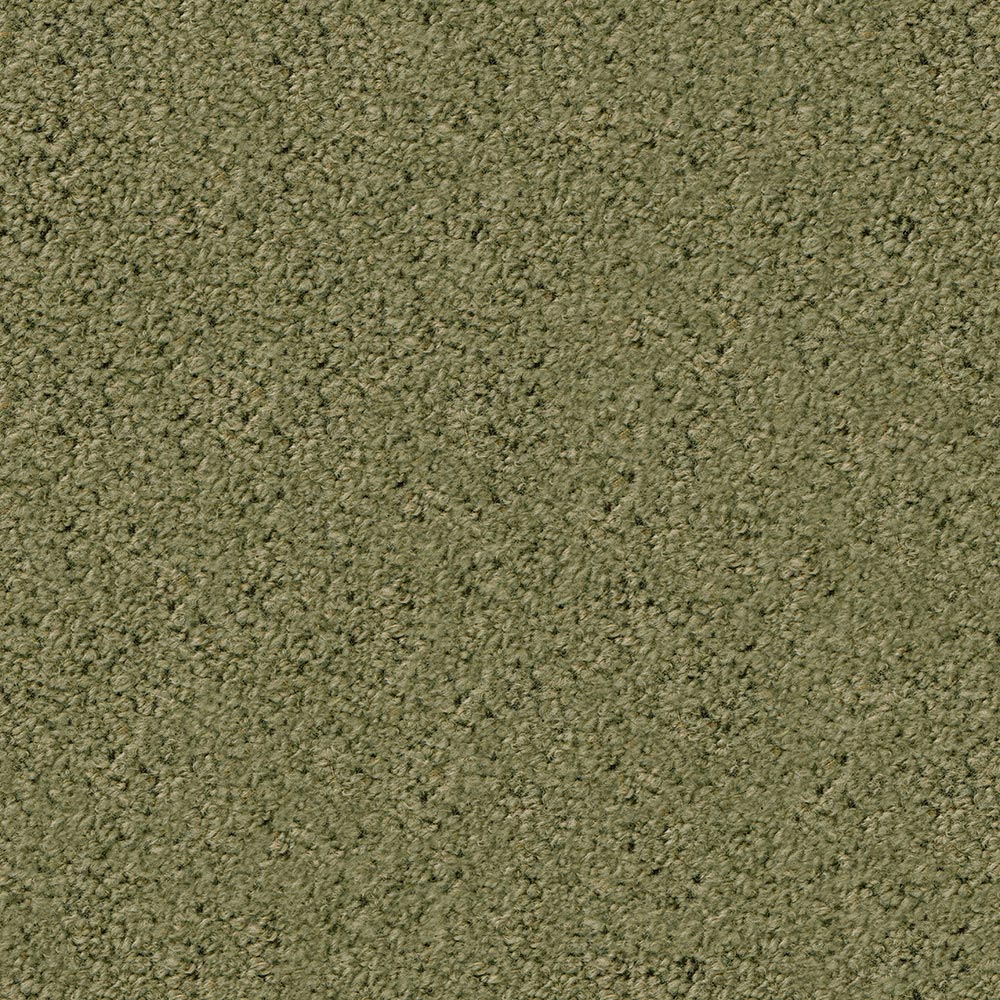 2625-11-绿色